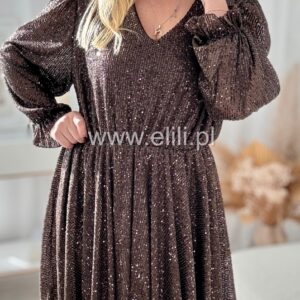 Alternative view of Sukienka Alisa czekolada